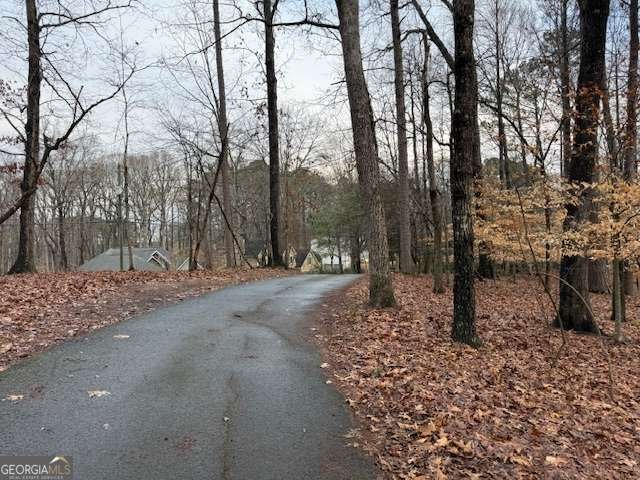 4570 Settles Bridge Road Suwanee - Photo 10