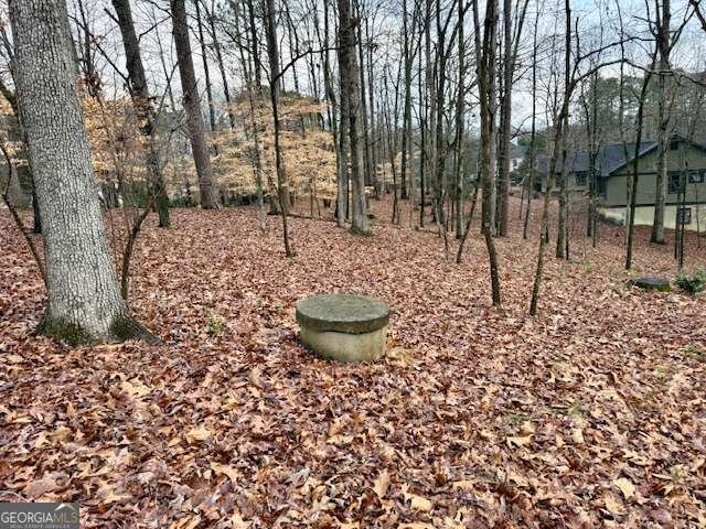 4570 Settles Bridge Road Suwanee - Photo 11