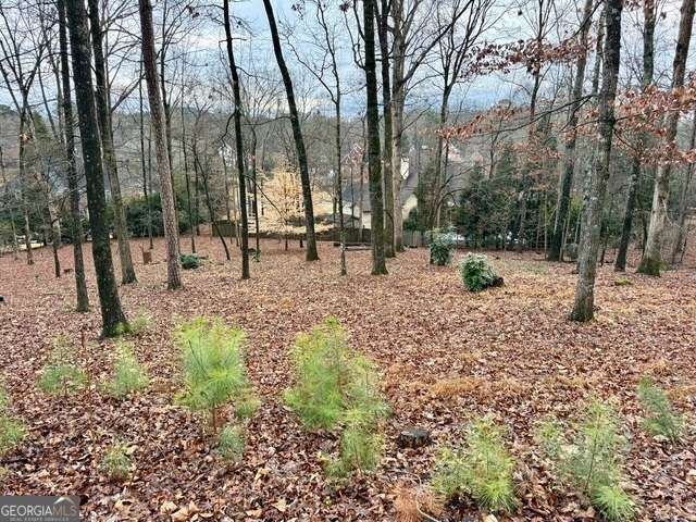 4570 Settles Bridge Road Suwanee - Photo 14