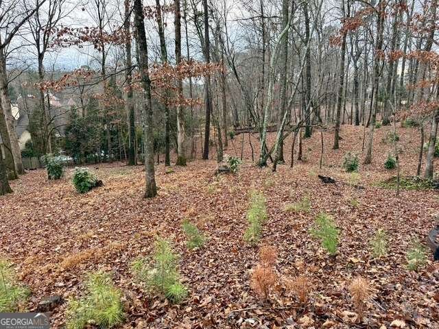 4570 Settles Bridge Road Suwanee - Photo 15