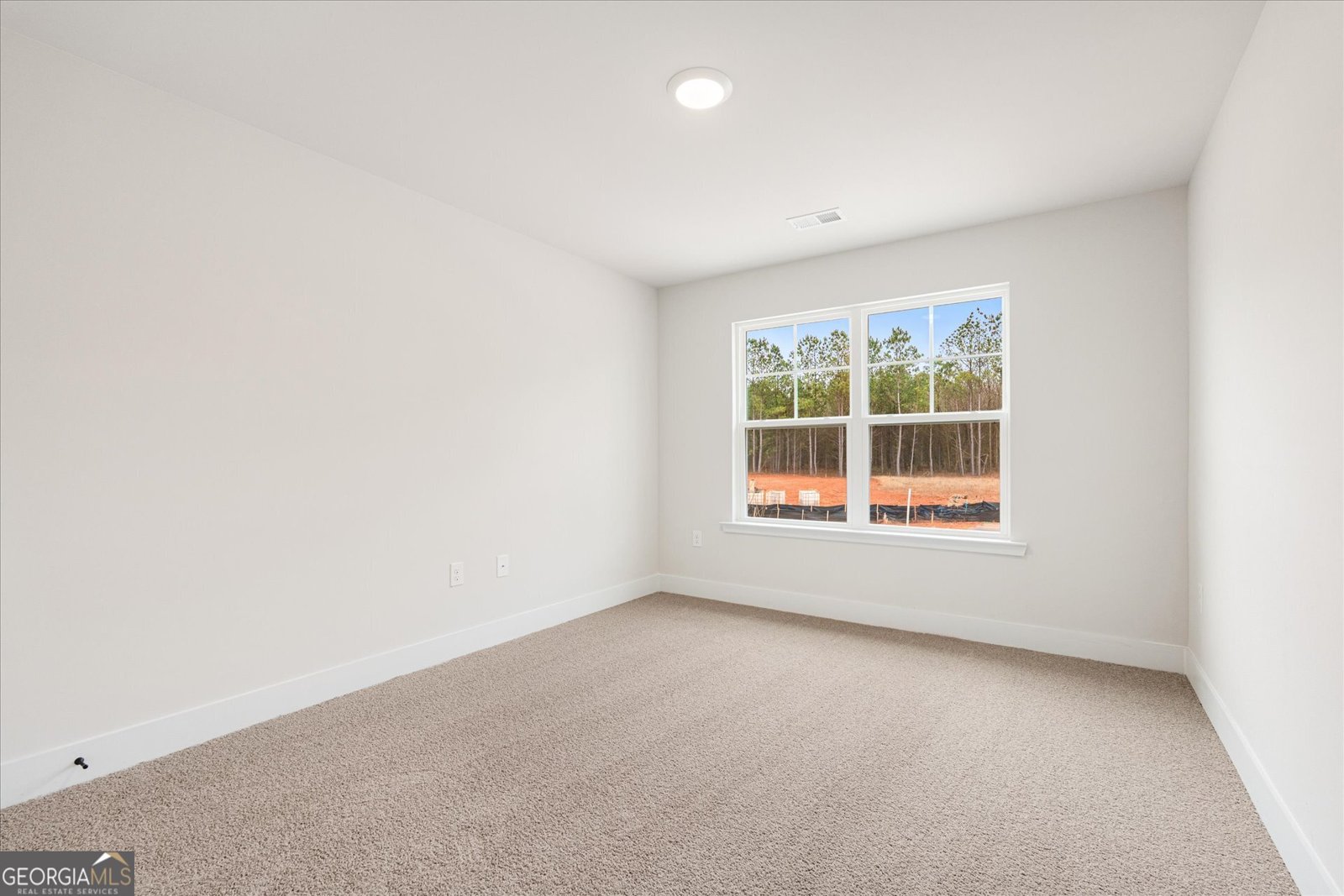 214 Laney Drive Carrollton - Photo 32