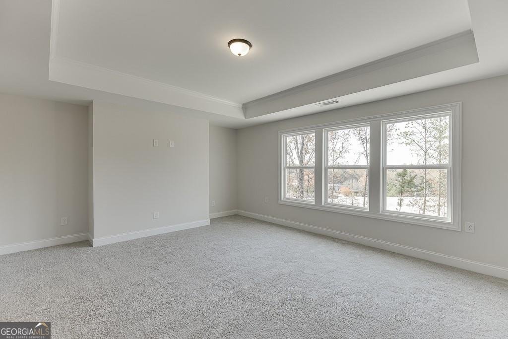 454 Thunder Road Buford - Photo 33