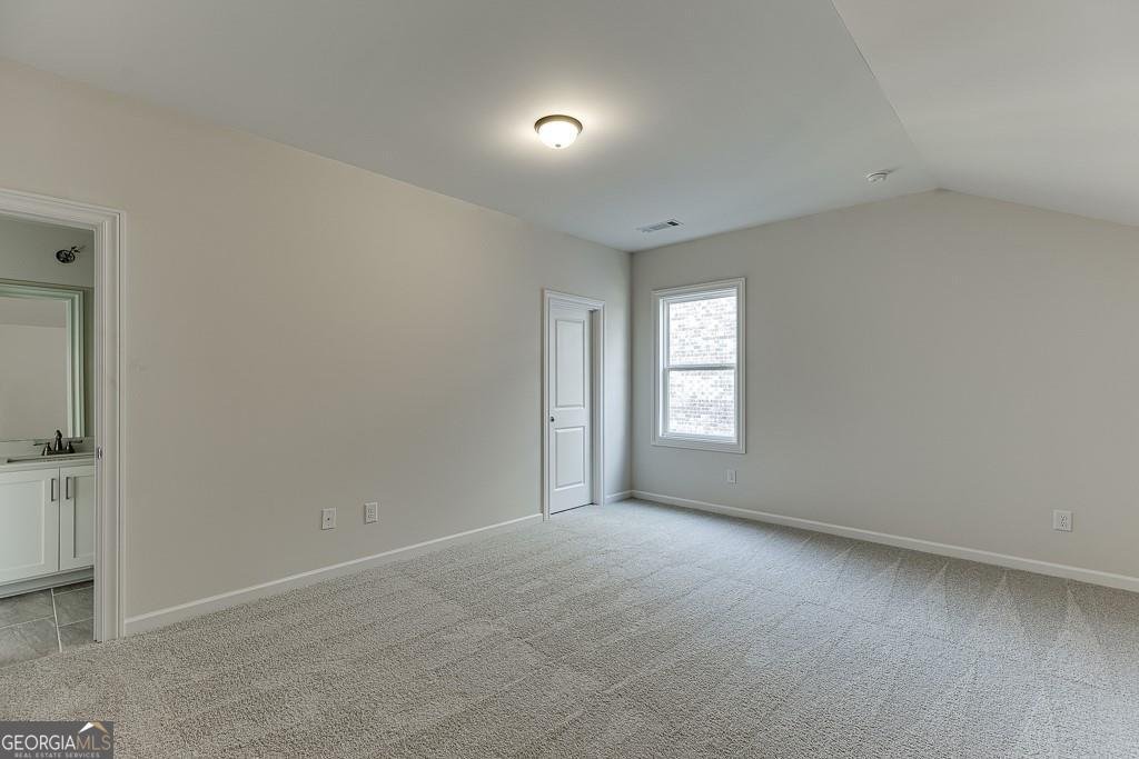 454 Thunder Road Buford - Photo 36