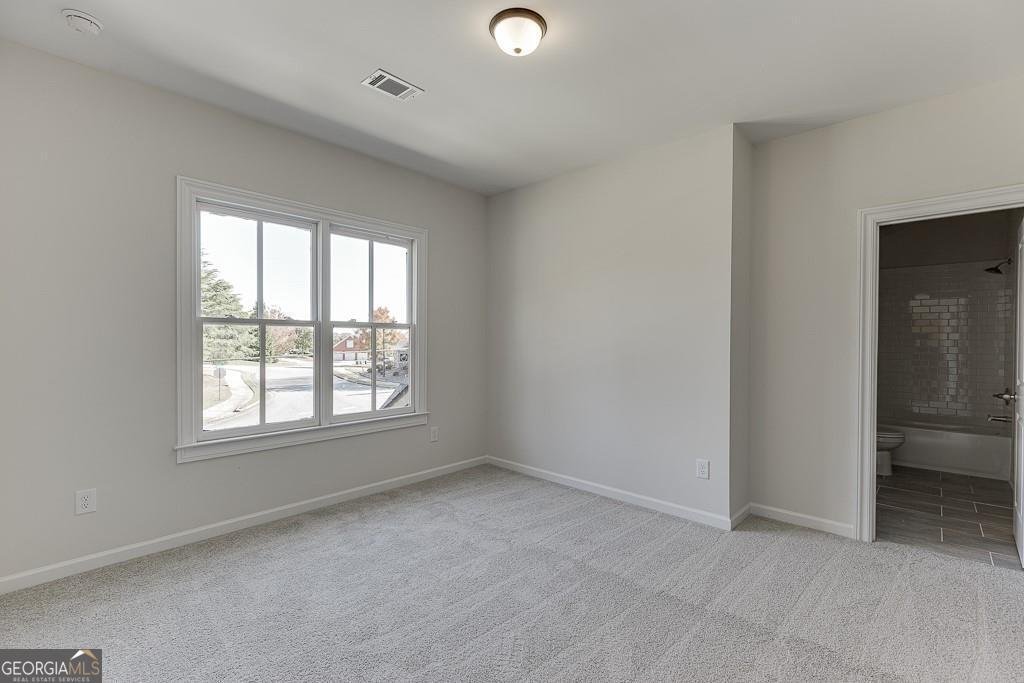 454 Thunder Road Buford - Photo 38