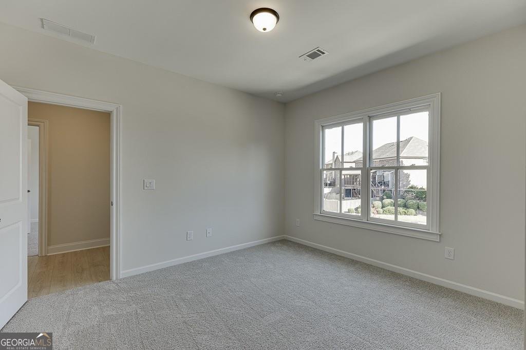 454 Thunder Road Buford - Photo 39