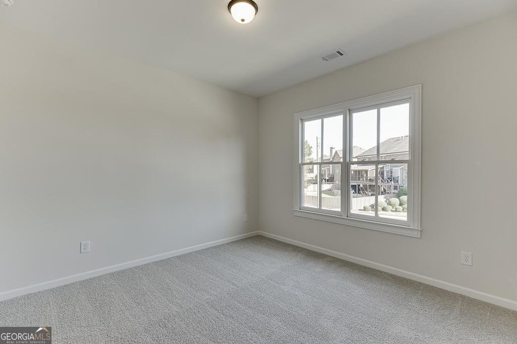 454 Thunder Road Buford - Photo 41