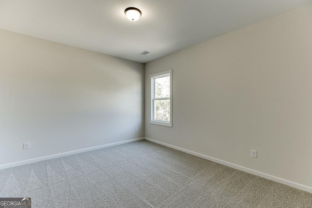 454 Thunder Road Buford - Photo 44