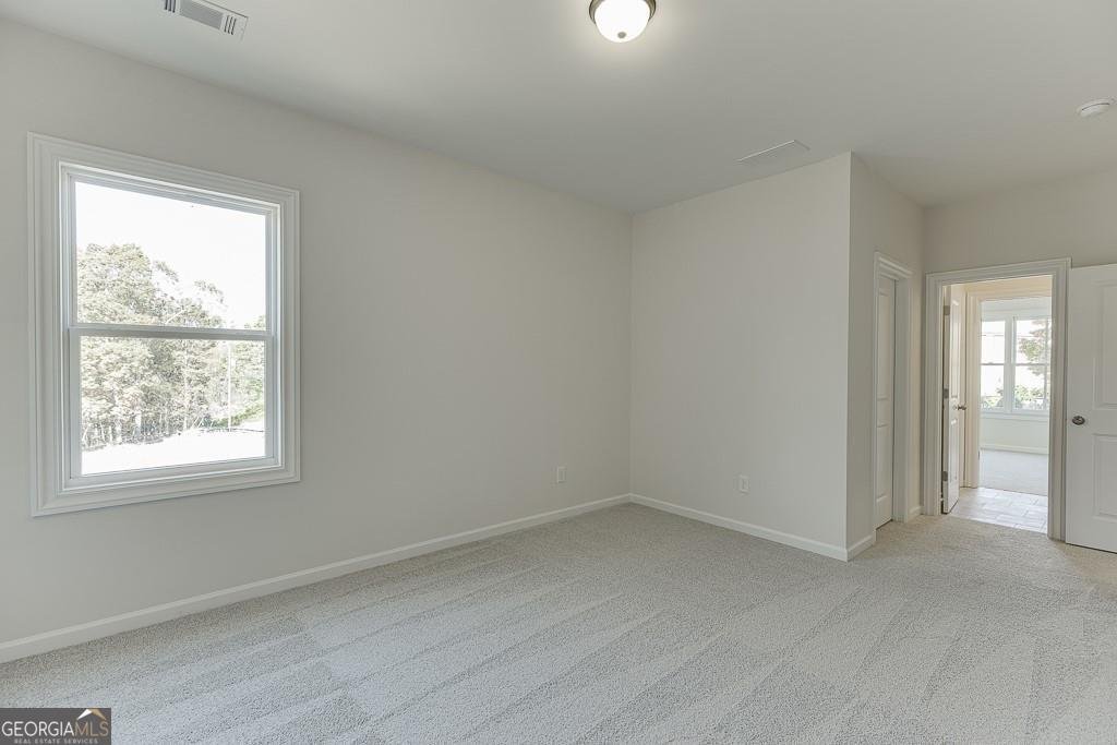 454 Thunder Road Buford - Photo 45