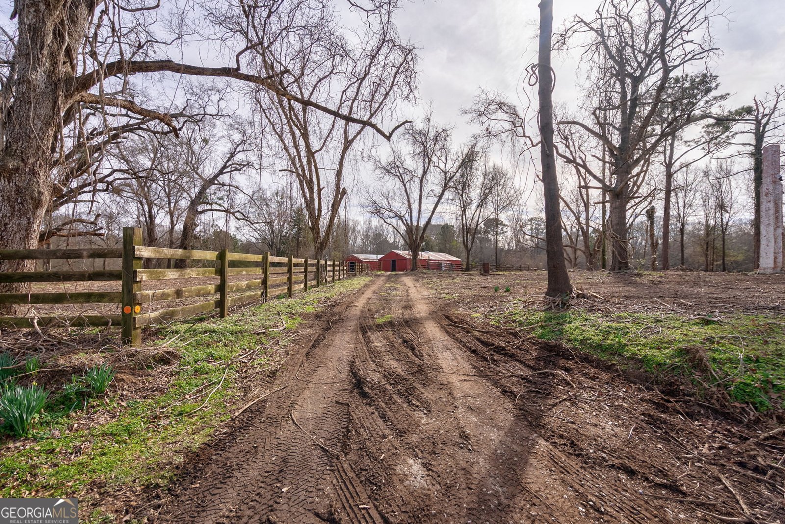 252 Raytown Road Crawfordville - Photo 19