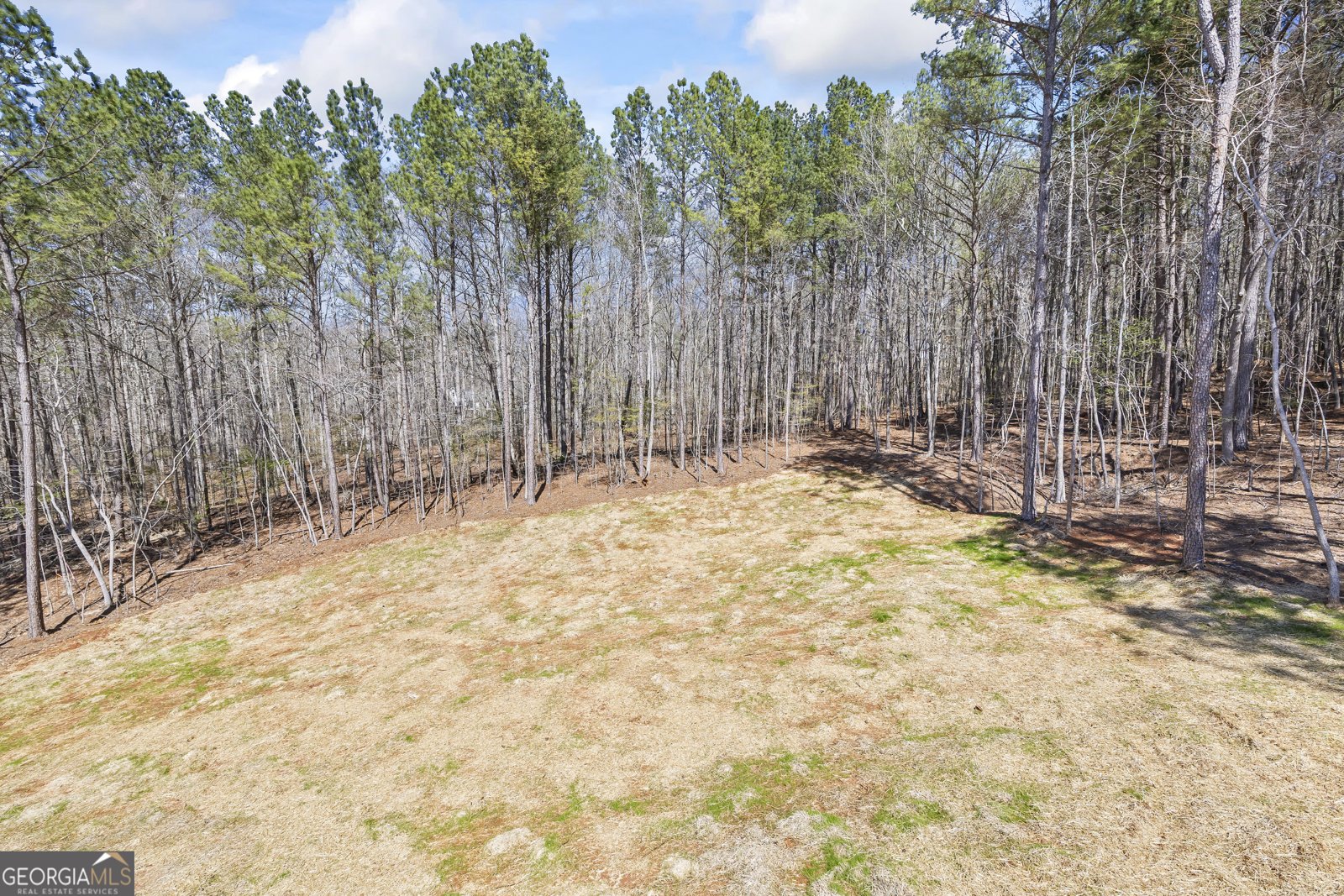 1229 Morgans Run Monroe - Photo 44