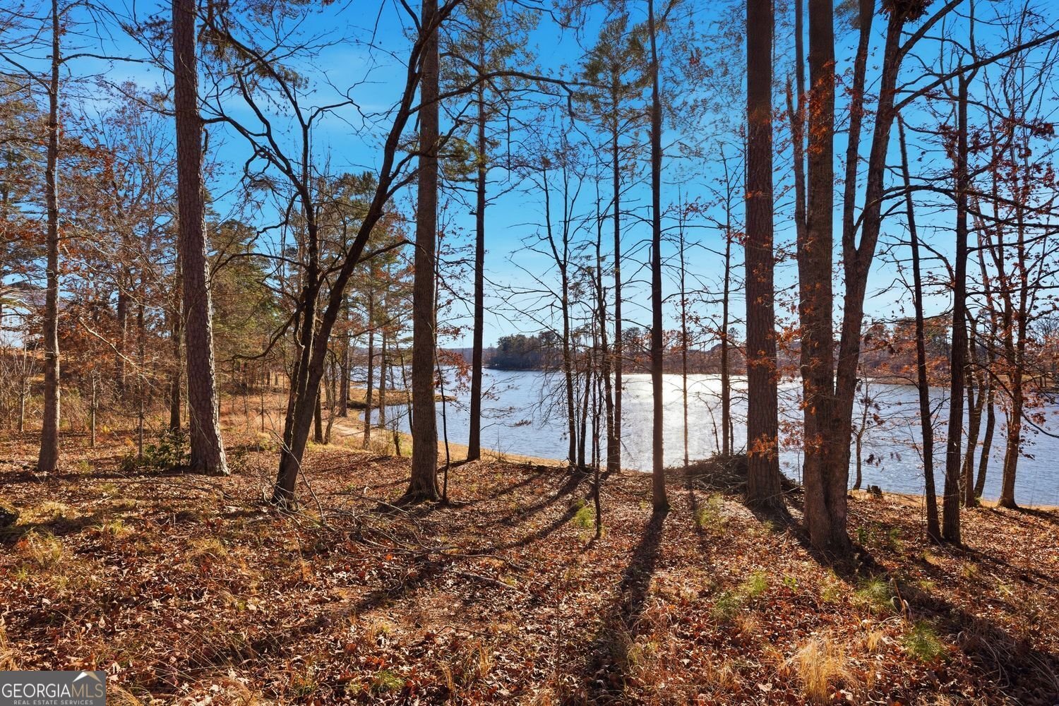 13 Clearwater Court Hoschton - Photo 71