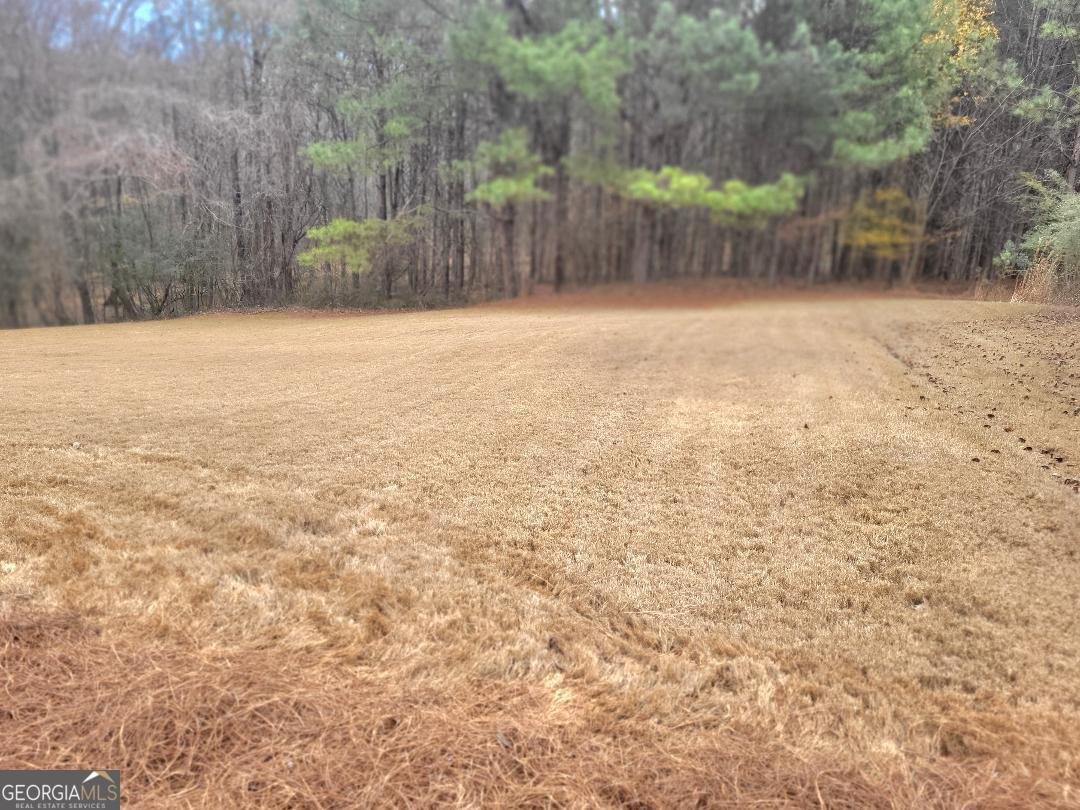 762 Carter Road Jonesboro - Photo 40