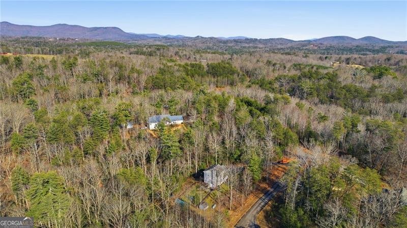 130 William Grady Road Dahlonega - Photo 45