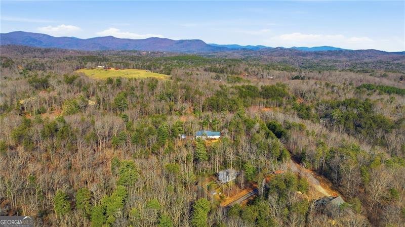 130 William Grady Road Dahlonega - Photo 46