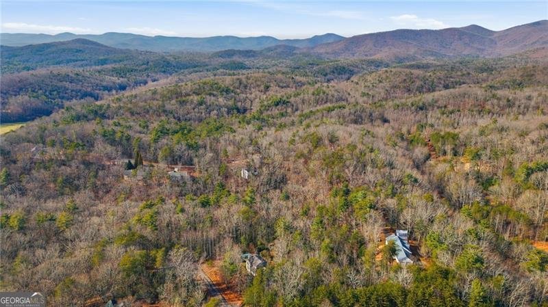 130 William Grady Road Dahlonega - Photo 49