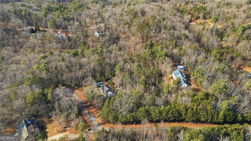 130 William Grady Road Dahlonega - Photo 50