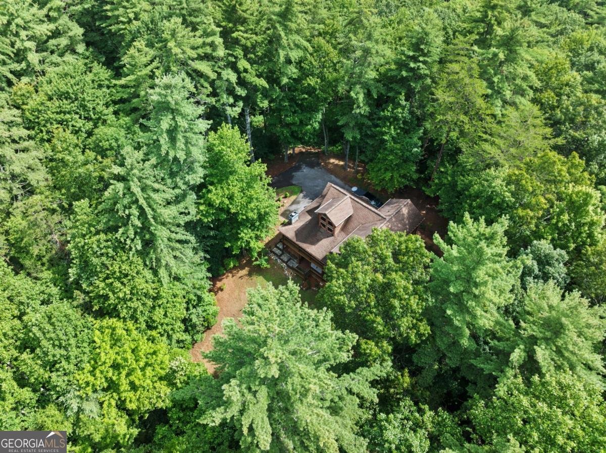 100 Cohutta View Road Epworth - Photo 42