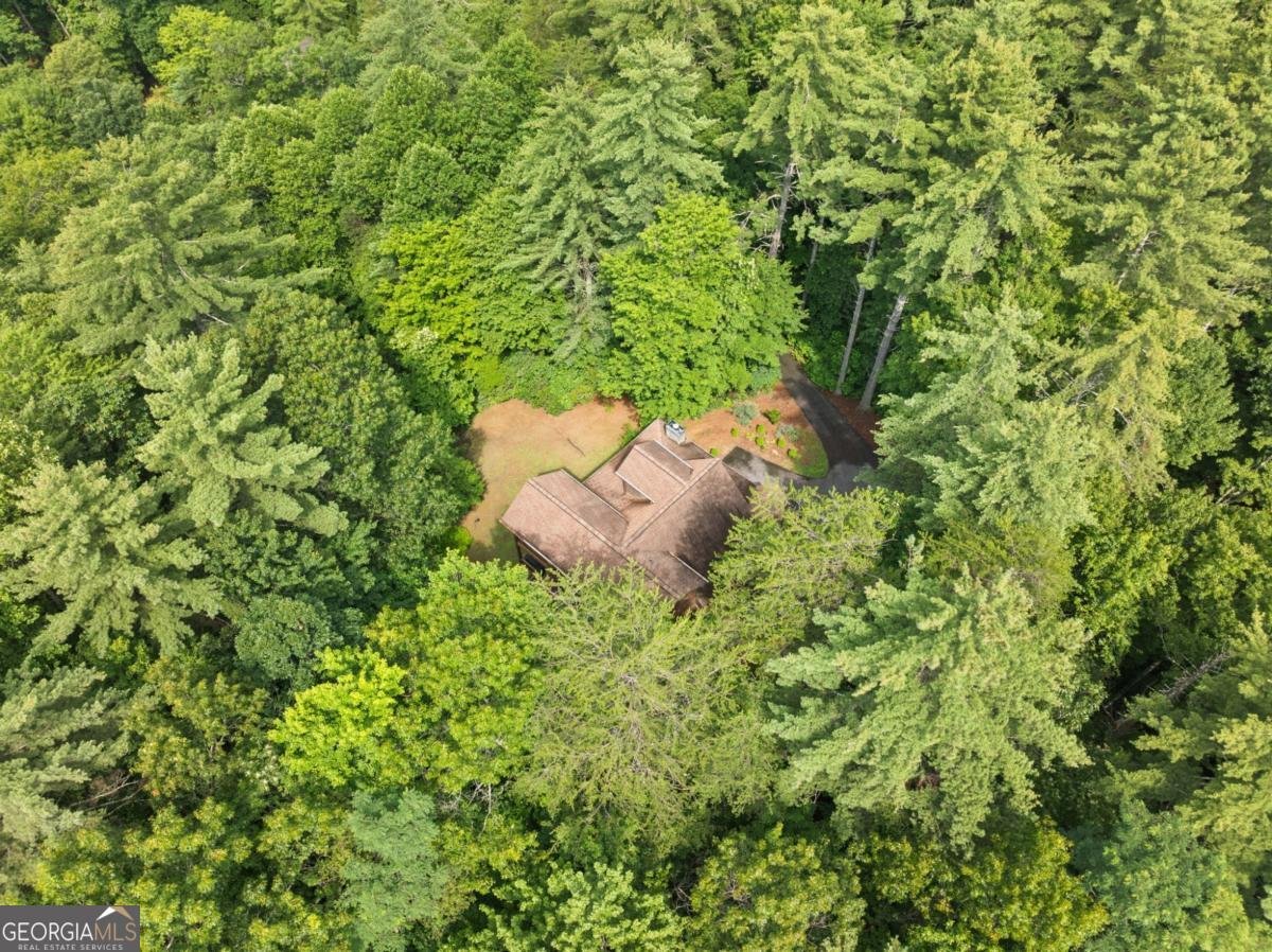 100 Cohutta View Road Epworth - Photo 43