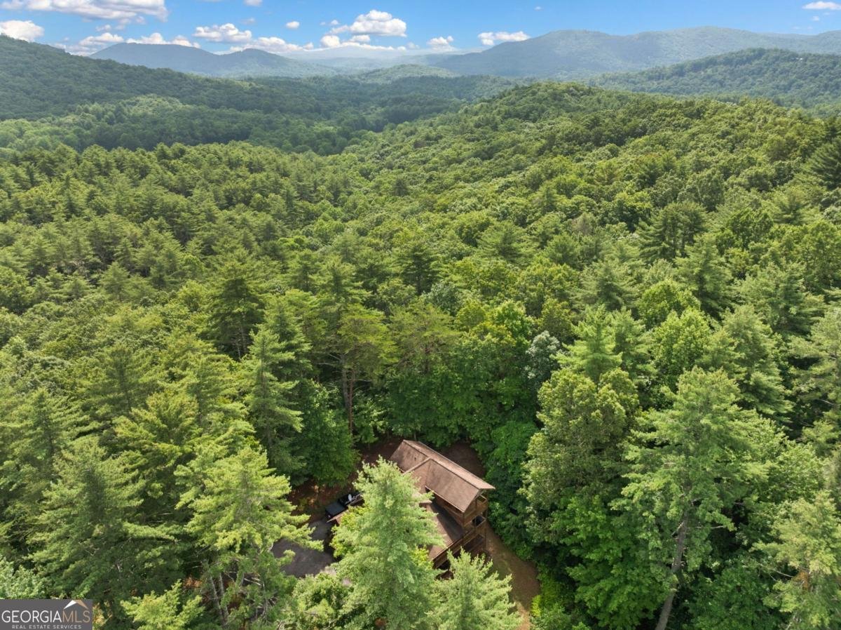 100 Cohutta View Road Epworth - Photo 44