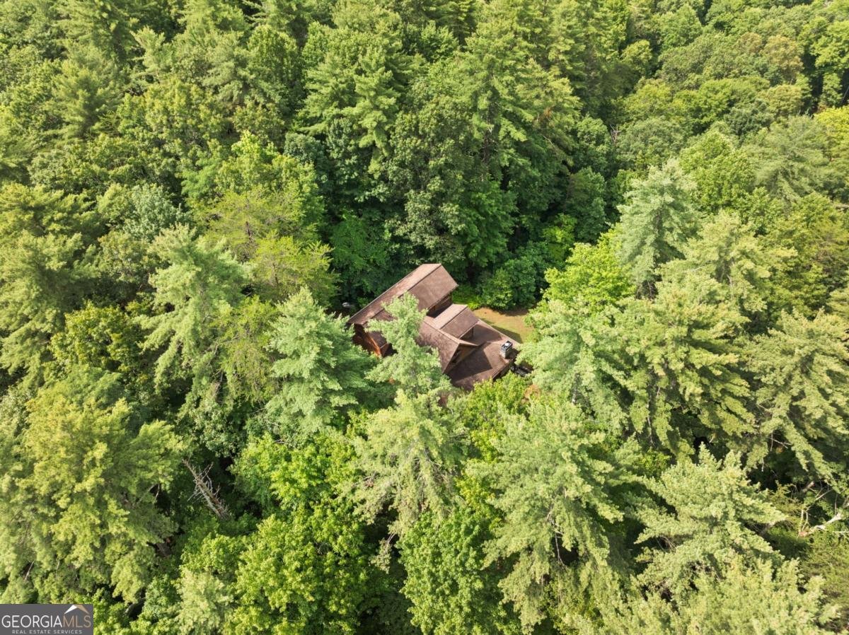 100 Cohutta View Road Epworth - Photo 45