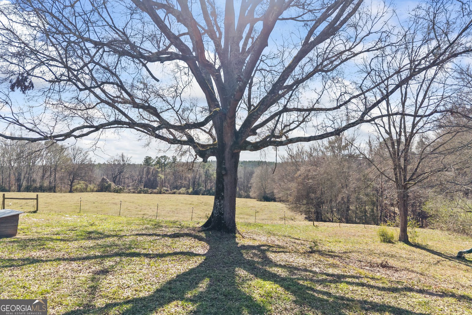 2456 Tex Smith Drive Elberton - Photo 59