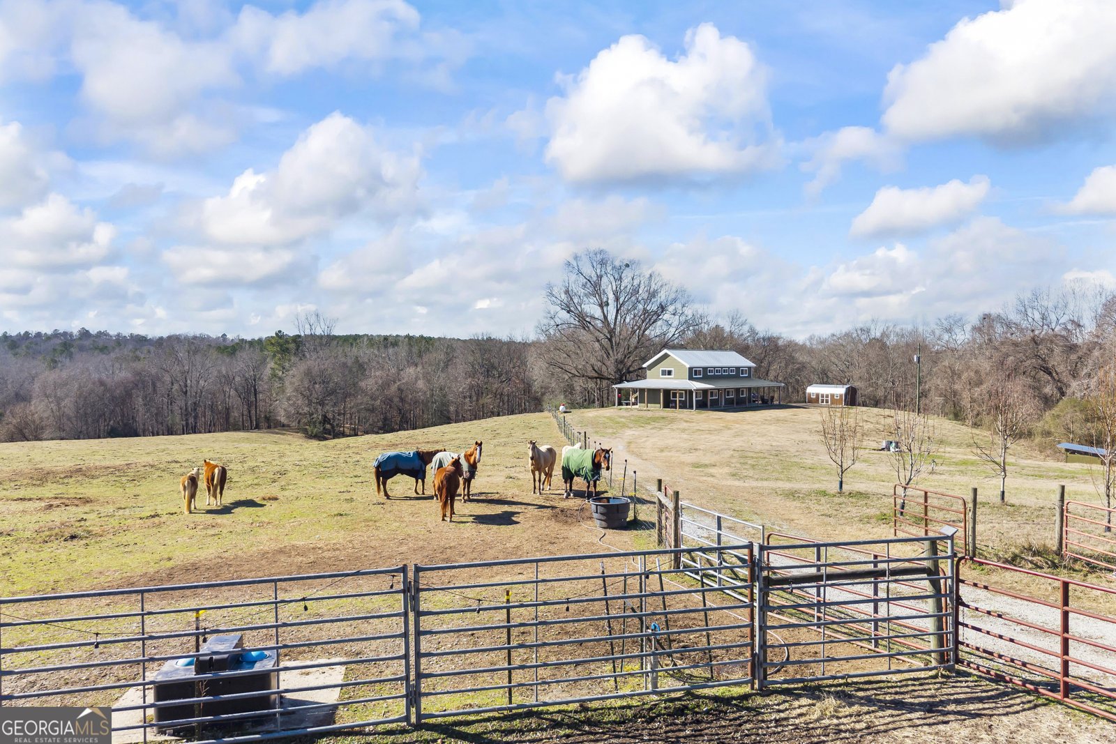 2456 Tex Smith Drive Elberton - Photo 76