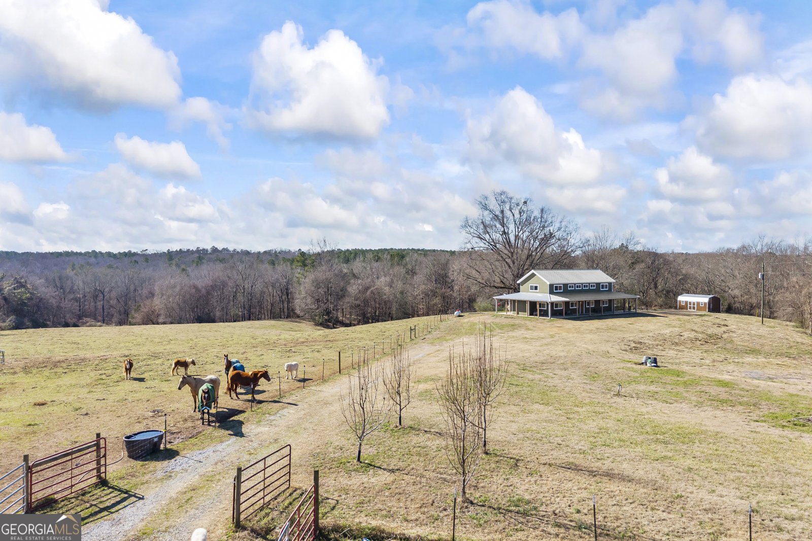 2456 Tex Smith Drive Elberton - Photo 80