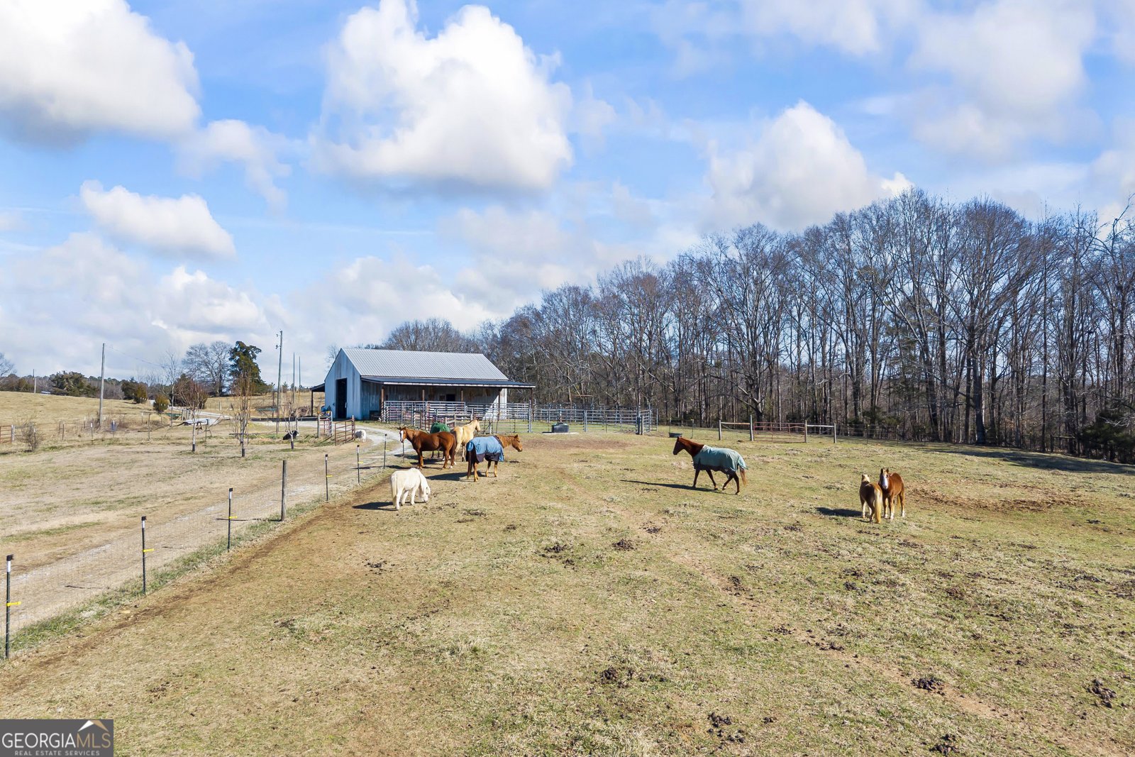 2456 Tex Smith Drive Elberton - Photo 82