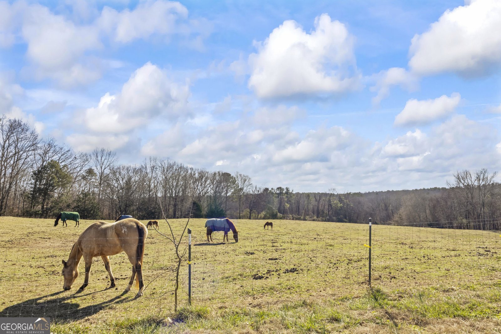 2456 Tex Smith Drive Elberton - Photo 84