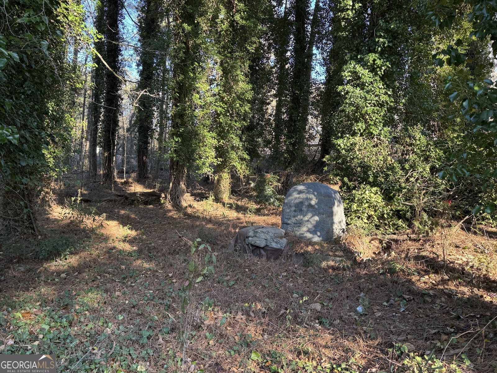 3955 Demooney Road Atlanta - Photo 25