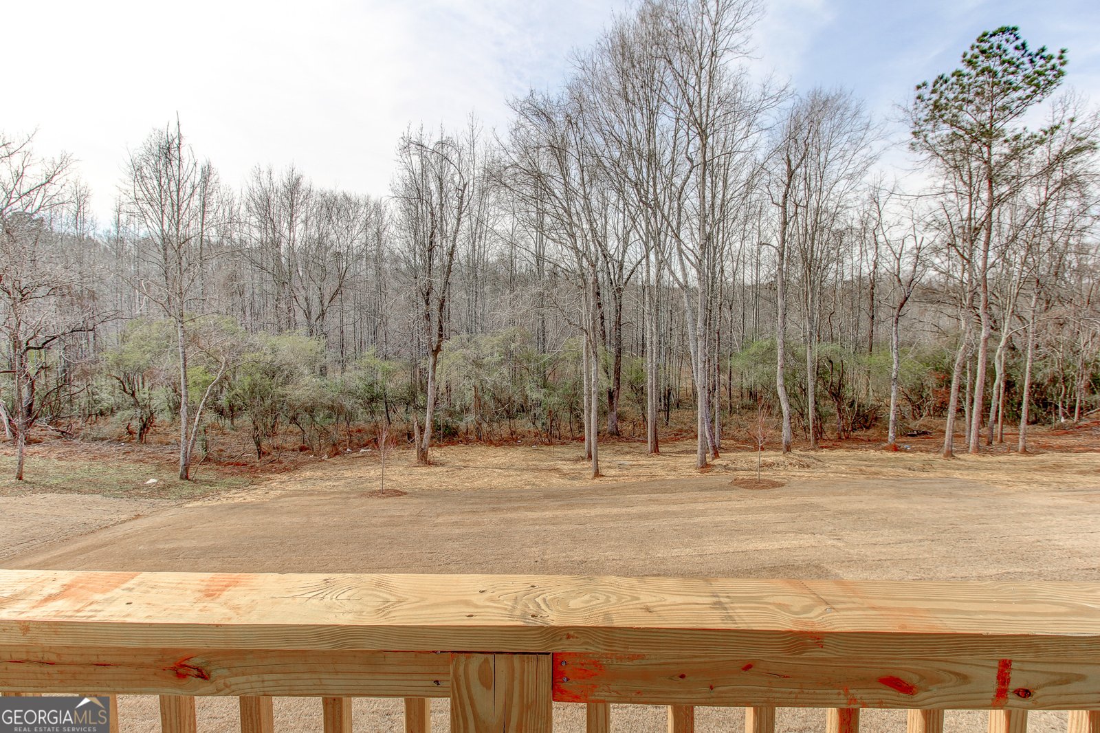 3059 Reserve Court Conyers - Photo 17