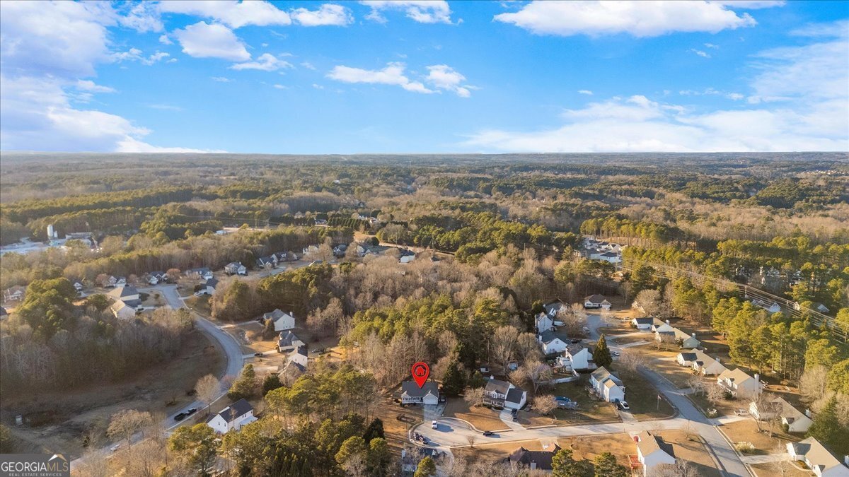 1206 Brim Bay Court Loganville - Photo 36