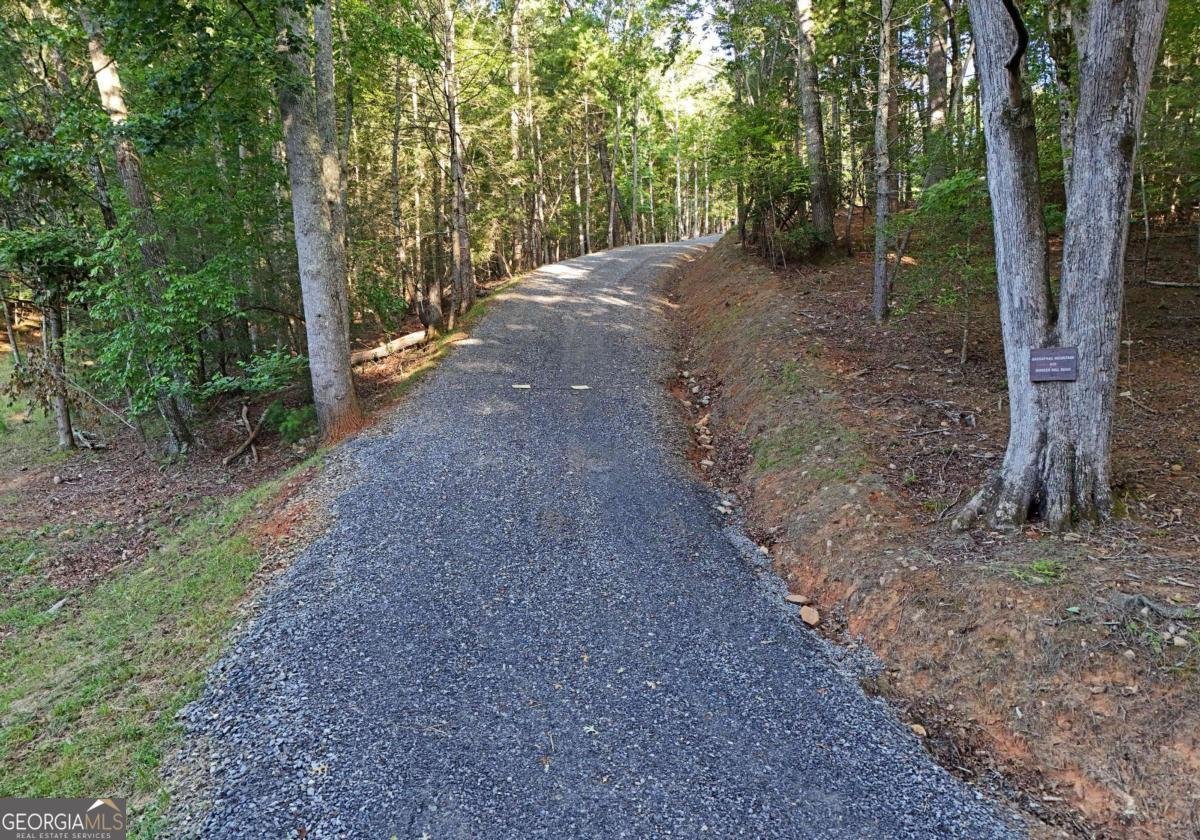 975 Bunker Hill Road Blairsville - Photo 27