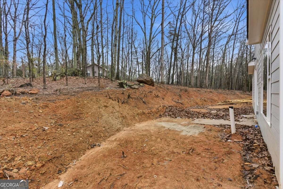 29 Aaron Lane Cartersville - Photo 34