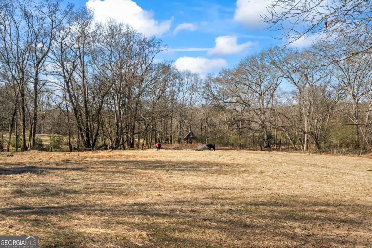 641 Bill Watkins Road Hoschton - Photo 38