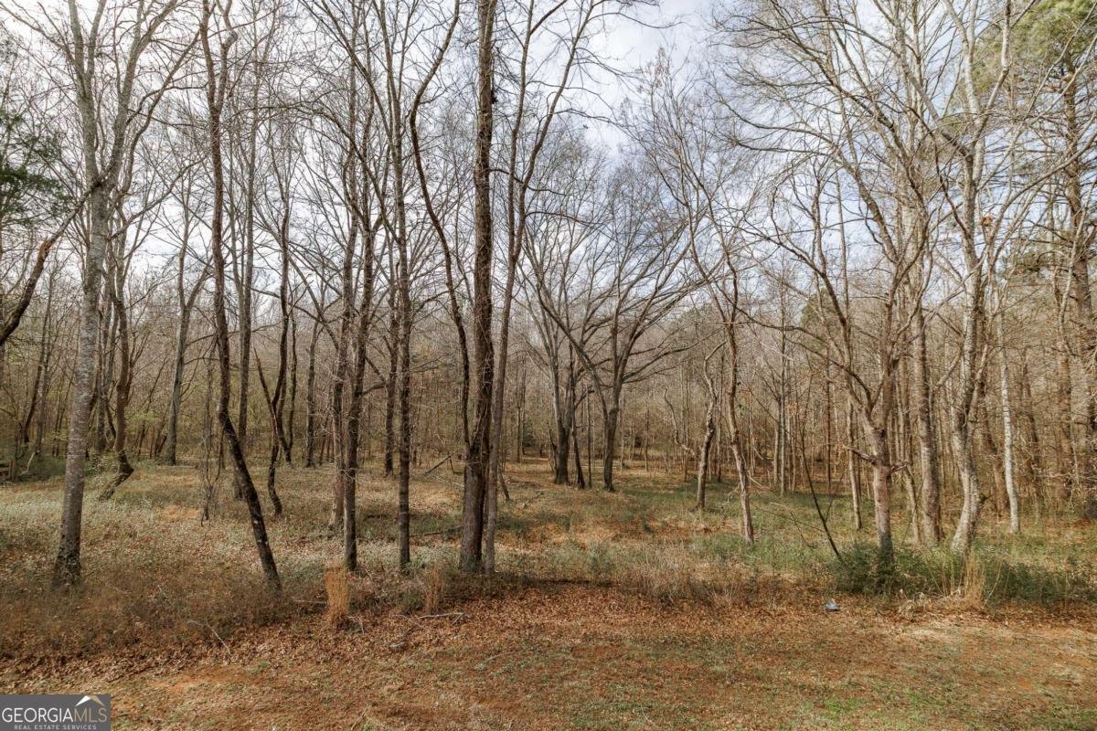 271 Oxmoor Winterville - Photo 47