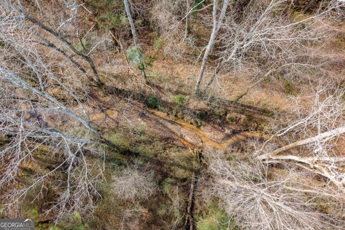 271 Oxmoor Winterville - Photo 48