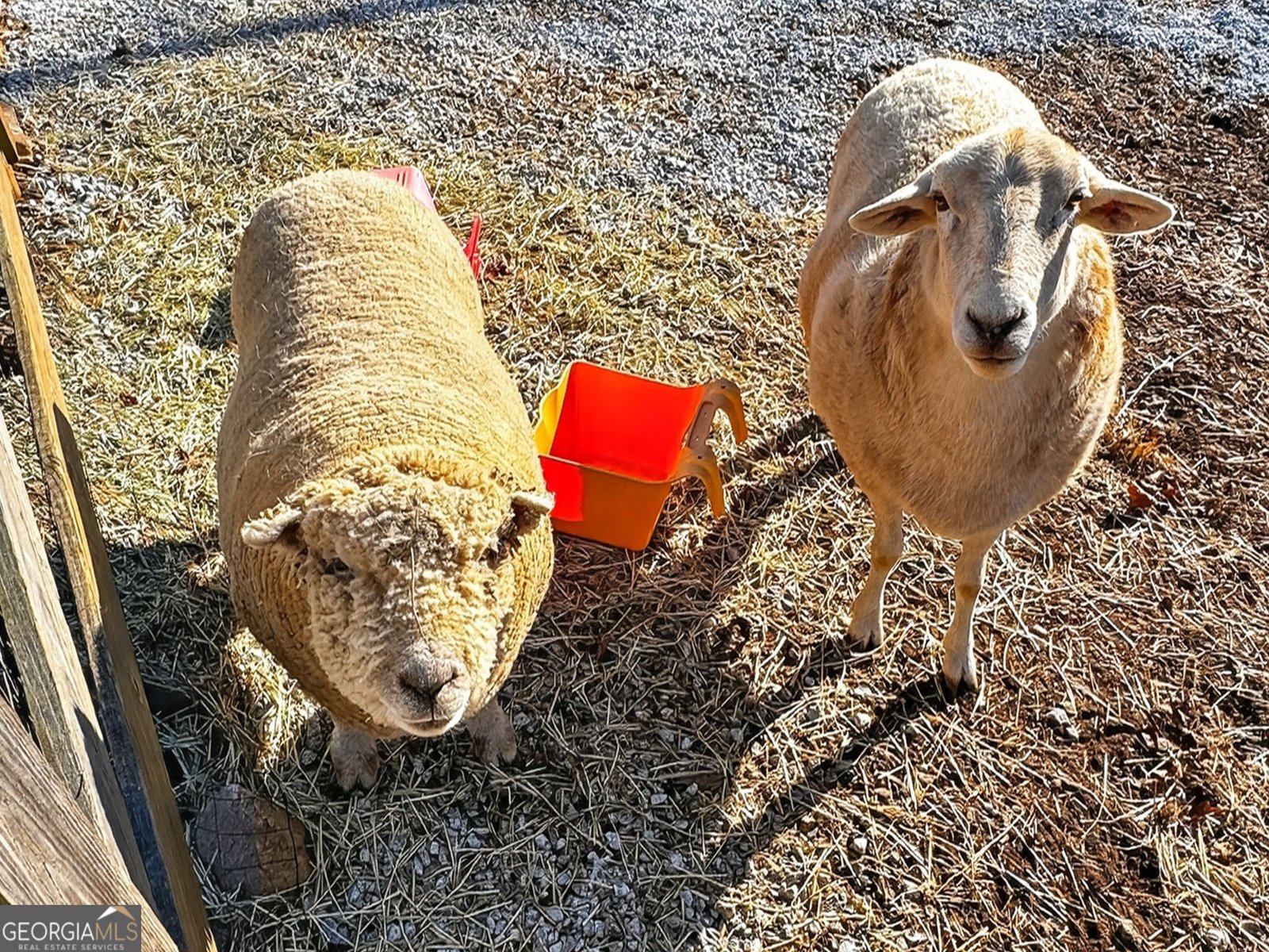 285 Dial Mill Road Oxford - Photo 77