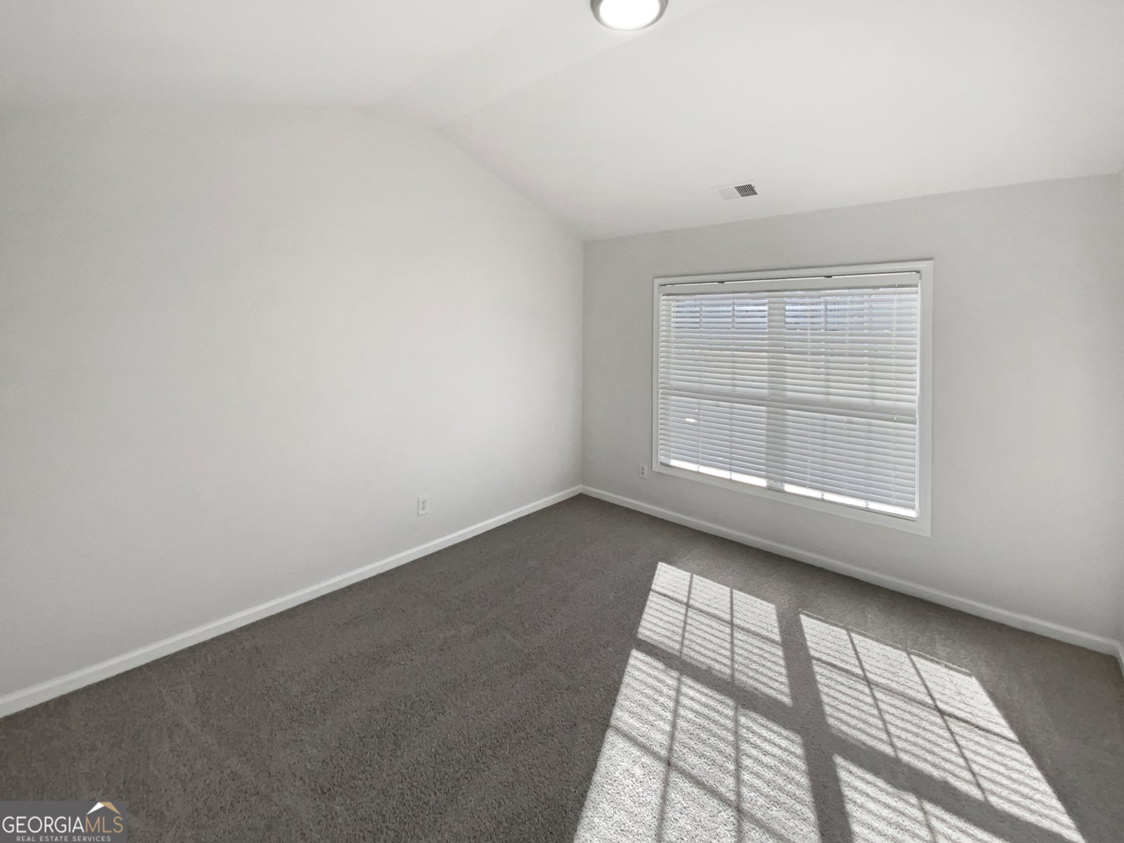 520 Osprey Lane Woodstock - Photo 14