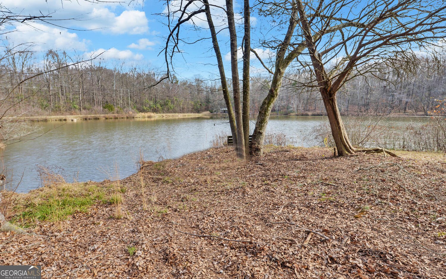 1291 Brays Lake Road Royston - Photo 40