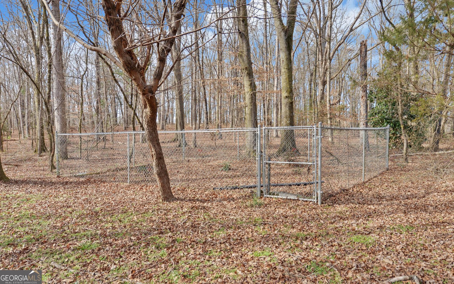 1291 Brays Lake Road Royston - Photo 44