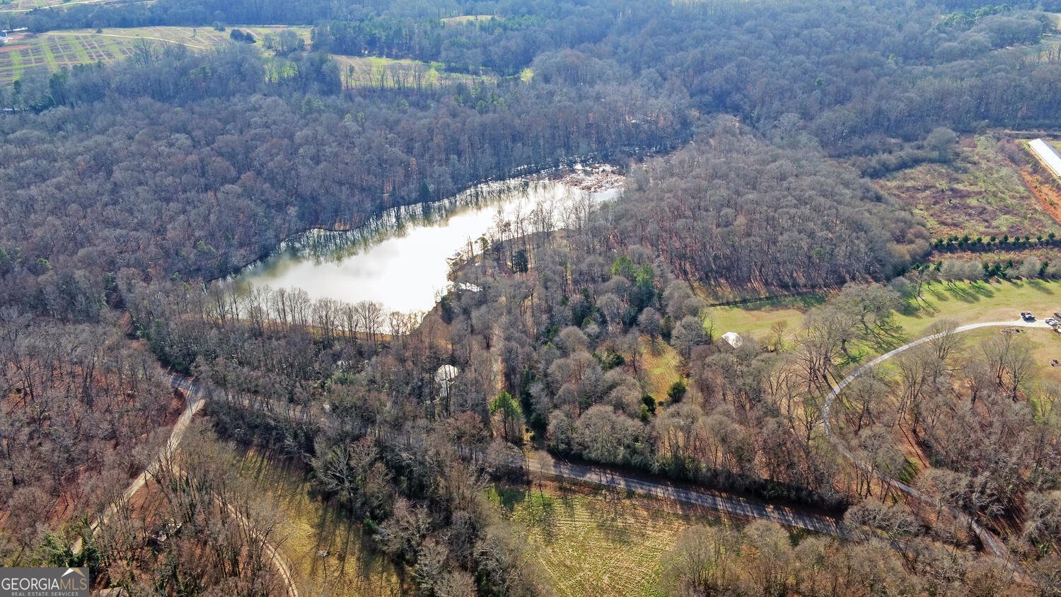 1291 Brays Lake Road Royston - Photo 51