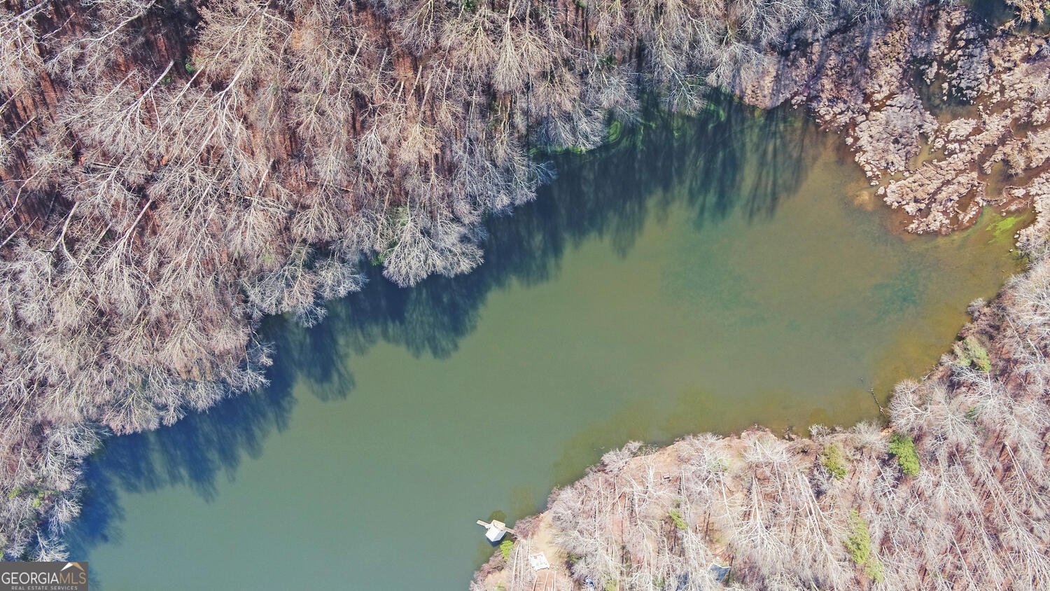 1291 Brays Lake Road Royston - Photo 52