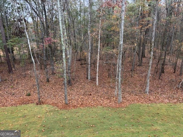 229 Summit View Drive McDonough - Photo 7