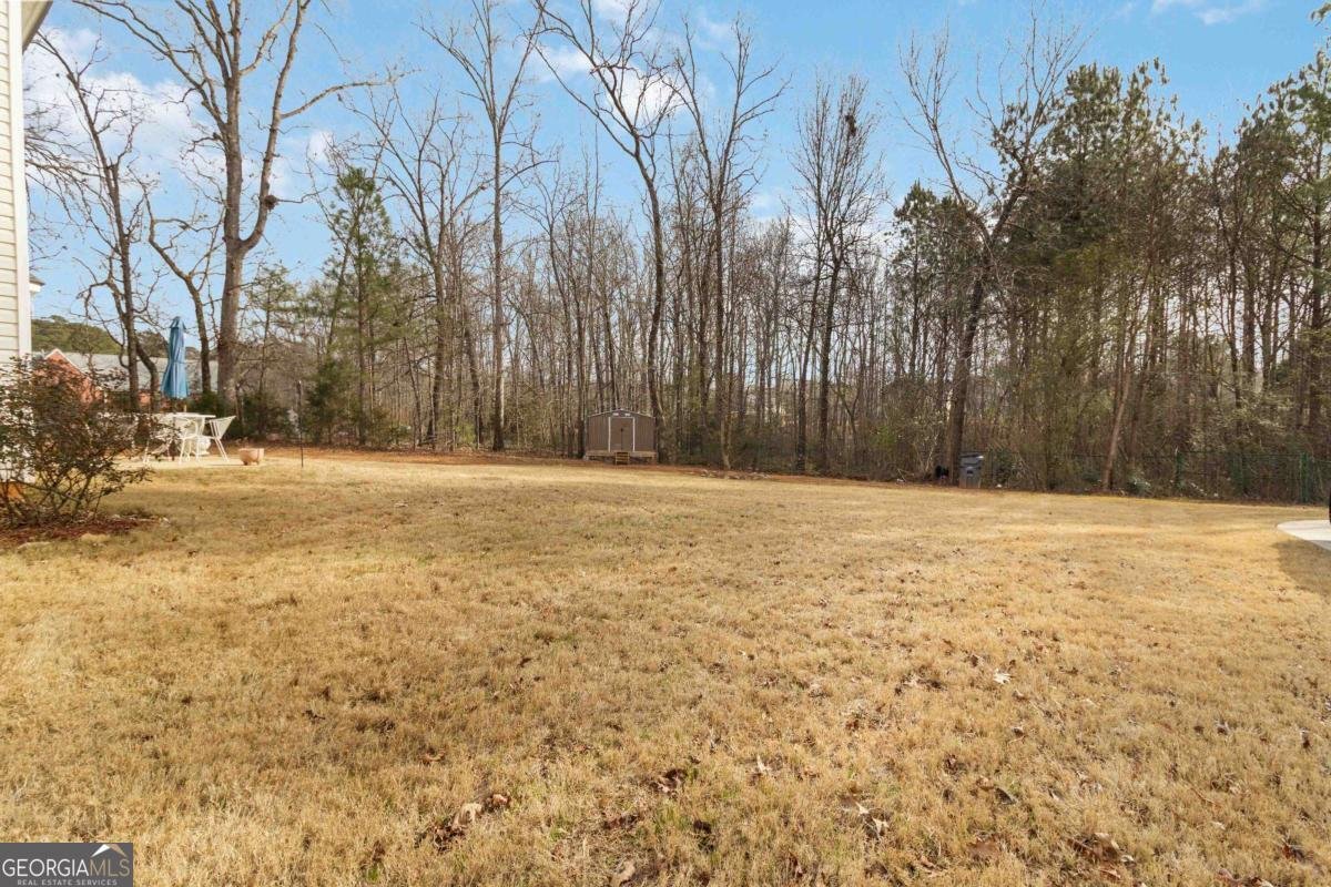 1003 Gloria Grand Boulevard Mcdonough - Photo 33