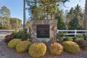 100 Springwater Trace Woodstock - Photo 29