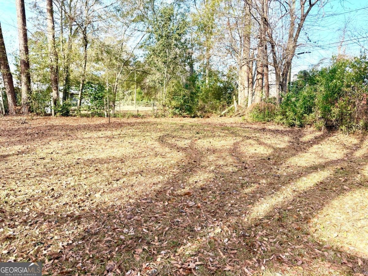 118 Flint Street Fitzgerald - Photo 42