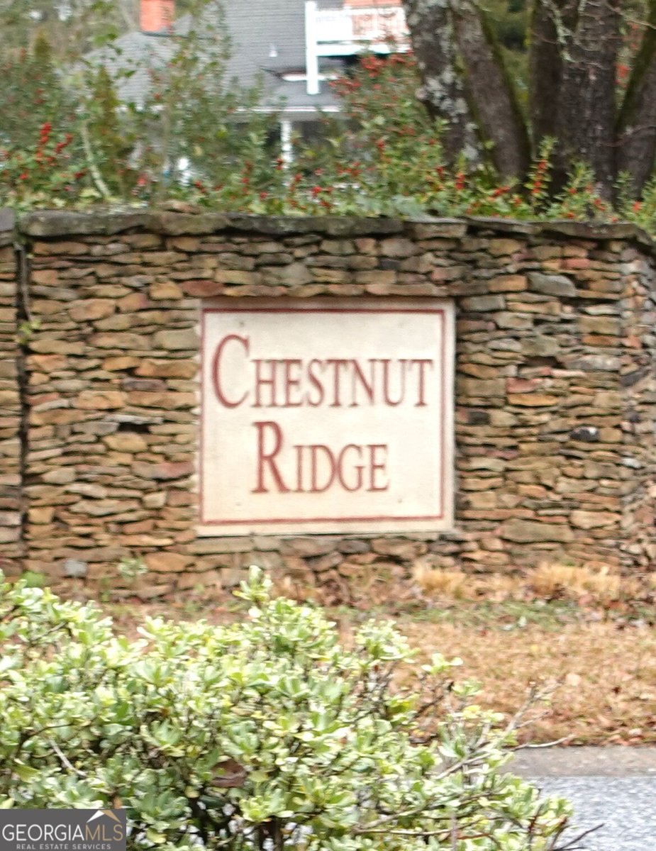 223 Lacey Lane Winder - Photo 38