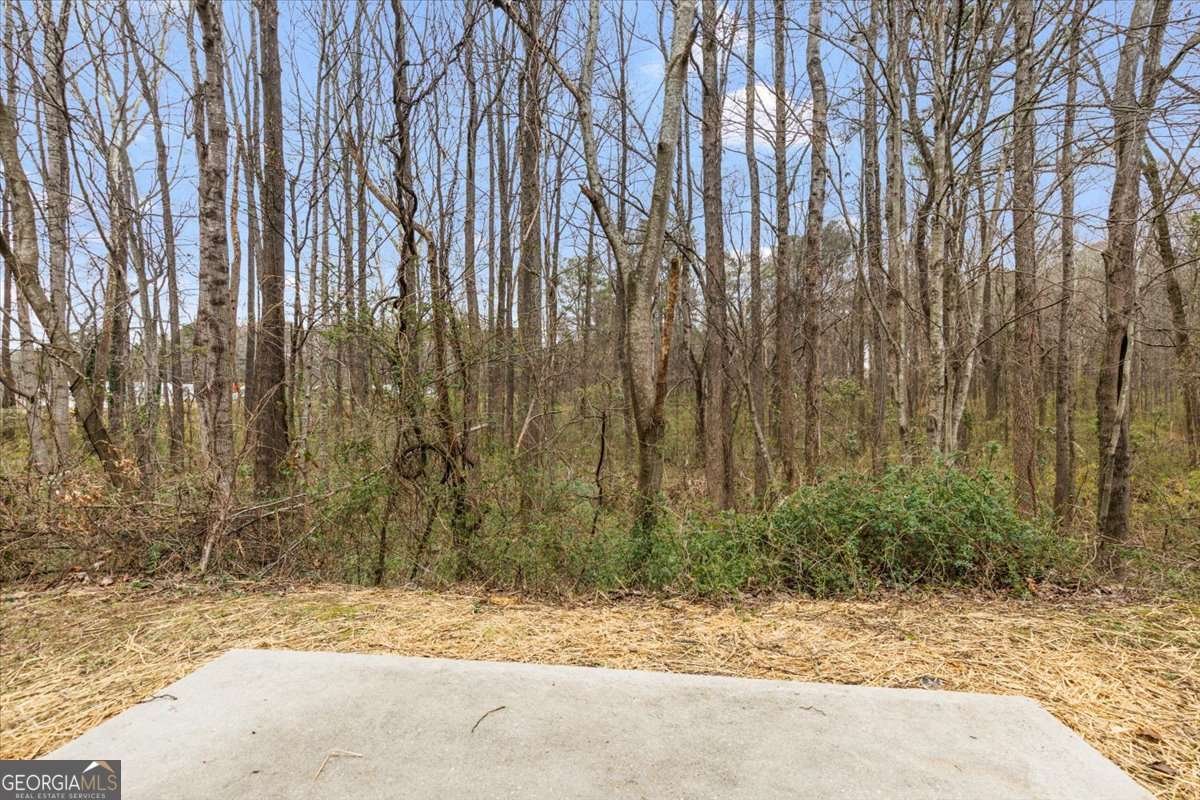 2346 Sapphire Court Ellenwood - Photo 31