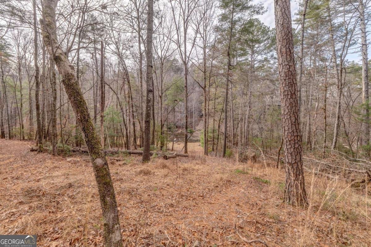 382 Adventure Trail Ellijay - Photo 69